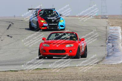 media/Feb-04-2023-Turn8 Trackdays (Sat) [[beeaee2017]]/Intermediate 1/Session 3 (Outside Grapevine)/